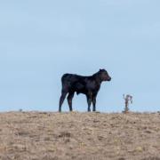 Tasmania experiences driest April in a decade