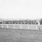 Colonus winning the Melbourne Cup