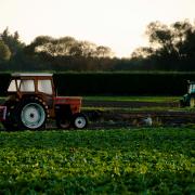Agriculture