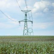 Transmission lines in the Northern Midlands